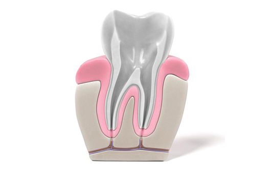 Zahnarzt-Anthony-Parsons-Endodontie